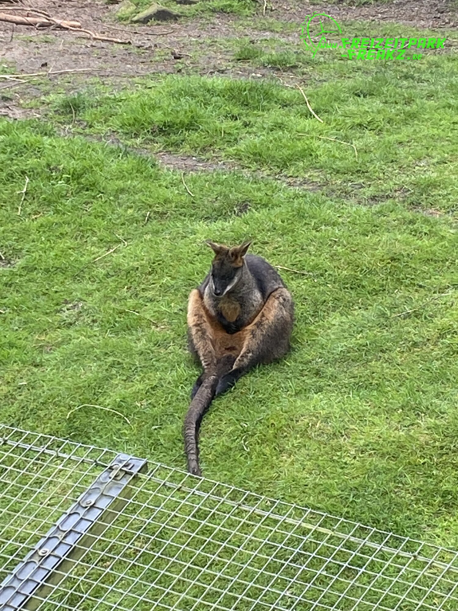 Burger’s Zoo