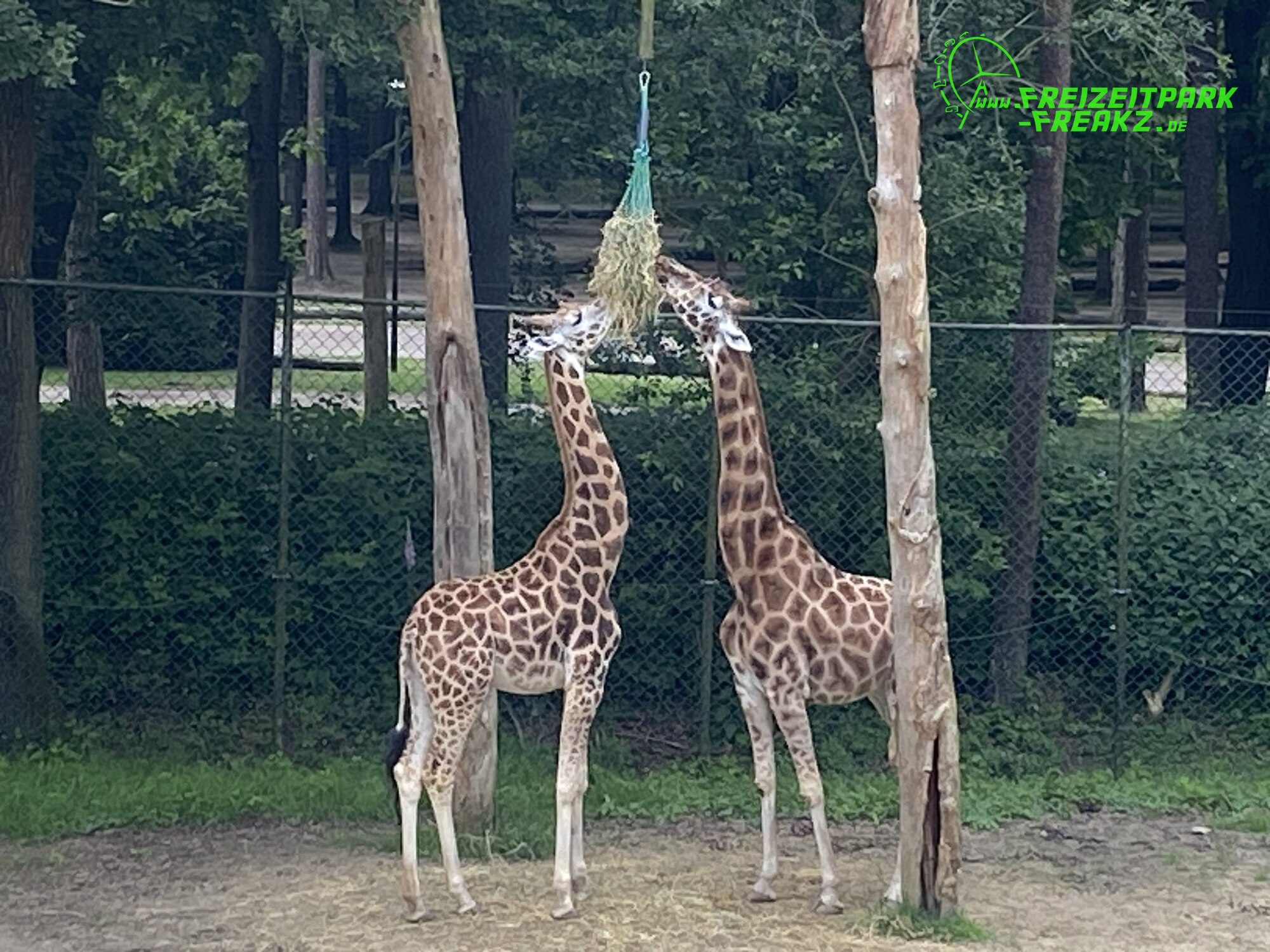 Burger’s Zoo