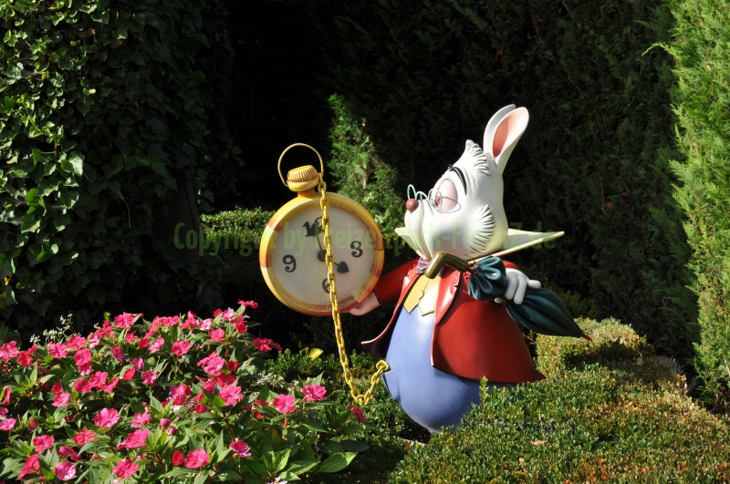 Disneyland Paris